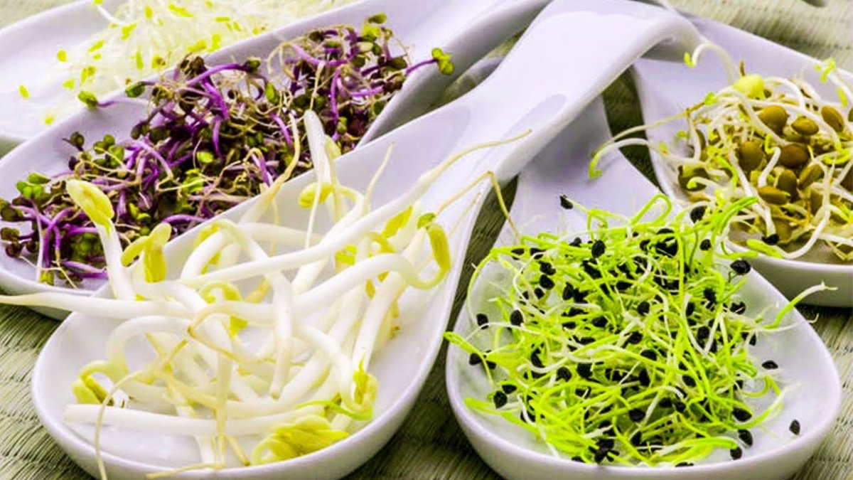 Салаты с микрогрином: рецепты салатов из пророщенных зерен