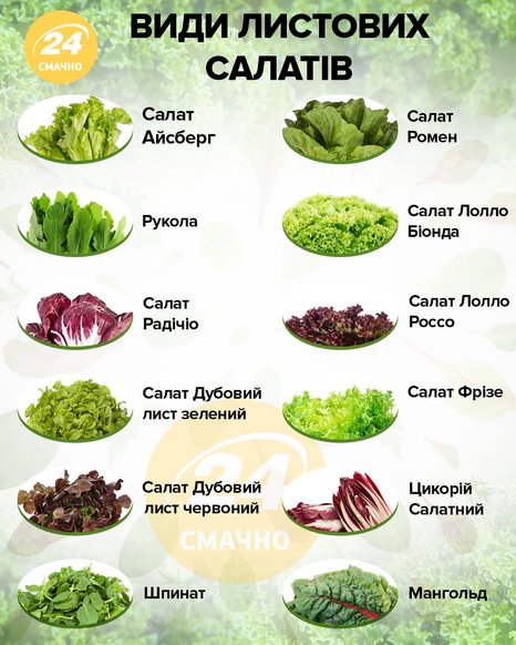 Салат листовий – види, користь і шкода, калорійність салату