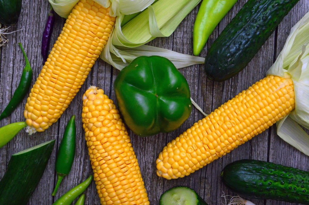 Молода кукурудза – як правильно варити – рецепт