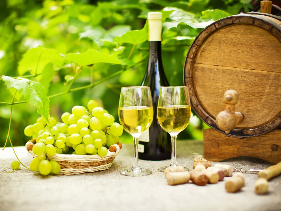 Домашнее вино из белого винограда: рецепт